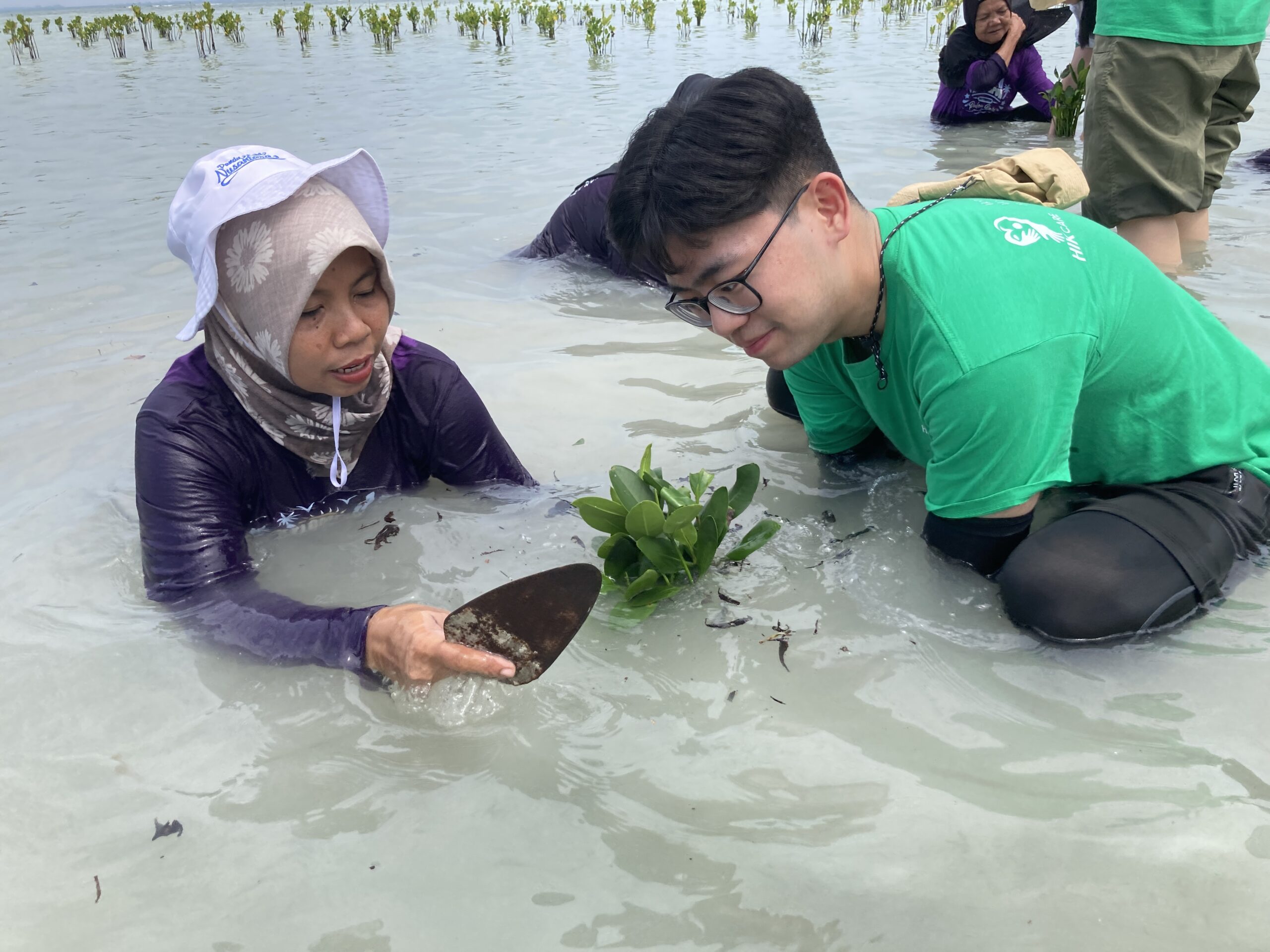 Penanaman mangrove oleh karyawan Hikvision dan komunitas lokal di Pulau Pari.