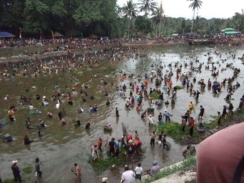 Masyarakat antusias turun menangkap ikan di Embung Bual Kecamatan Kopang (Ahmad Sakurniawan/Koran Mandalika)