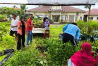 Siswa SLB Negeri 4 Lombok Tengah antusias menurunkan ratusan bibit pohon yang dibawa Portir Indonesia Internasional (Ahmad Sakurniawan/Koran Mandalika)