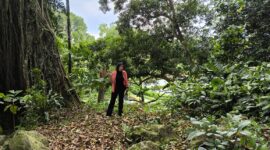 Direktur Portir Indonesia Internasional Maya Yuliana saat mengecek kondisi hutan di sumber mata air Dusun Aik Bone, Desa Aik Bukak (Ahmad Sakurniawan/Koran Mandalika)