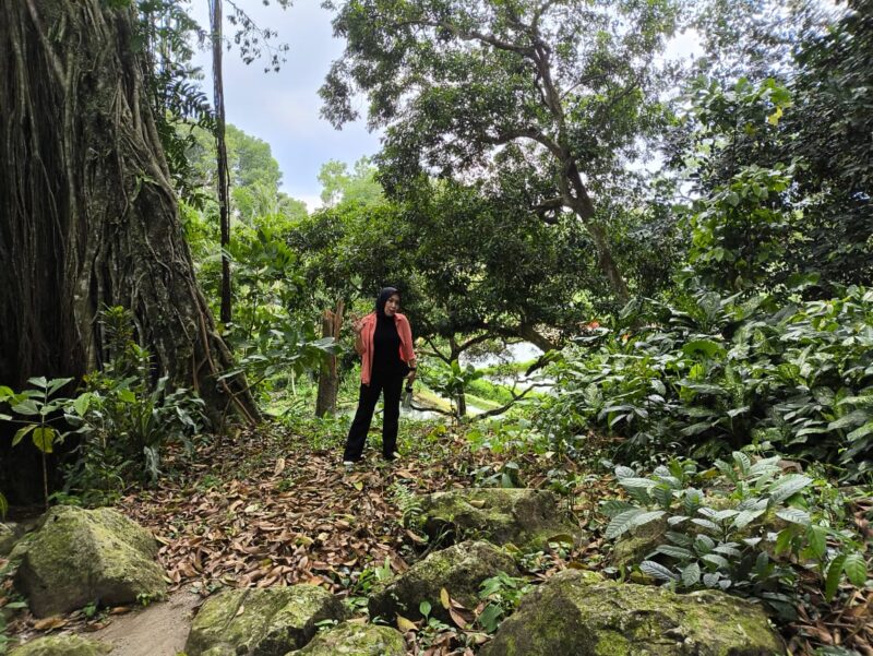 Direktur Portir Indonesia Internasional Maya Yuliana saat mengecek kondisi hutan di sumber mata air Dusun Aik Bone, Desa Aik Bukak (Ahmad Sakurniawan/Koran Mandalika)