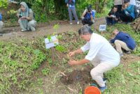 Direktur PT Mitra Alam Lalu Fathurrahman bersama wartawan tanam seribuan pohon di Desa Wisata Selong Belanak (istimewa)