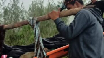 Evakuasi pendaki asal Malaysia yang jatuh di jalur Pelawangan Sembalun menuju Danau Segara Anak.(tangkapan layar)
