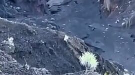 Posisi korban yang jatuh di Gunung Rinjani (Tangkapan layar)