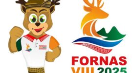 Ilustrasi Fornas VIII Provinsi NTB (ist)