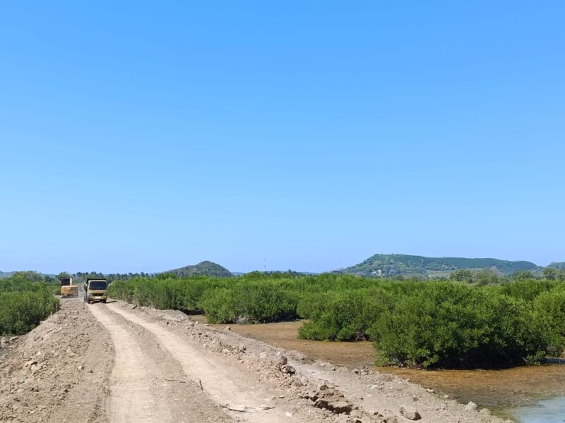 Penimbunan jalan di kawasan mangrove sekitar Pantai Tanjung Aan (Riky for Koran Mandalika)