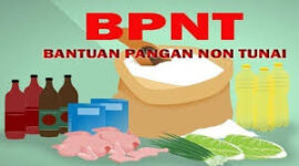 Ilustrasi BPNT (ist)