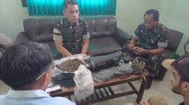Jajaran TNI 1620 Lombok Tengah berhasil mengamankan peredaran ratusan gram ganja (Ist)