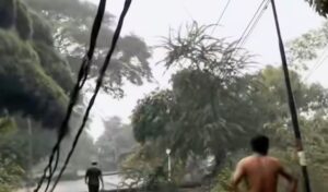 Gambaran instalasi listrik saat cuaca ekstrem (tangkapan layar)