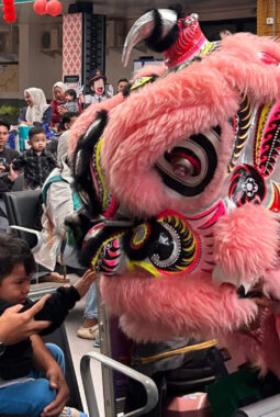 berita-rekomendasi-foto