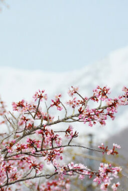 berita-rekomendasi-foto