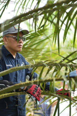 berita-rekomendasi-foto