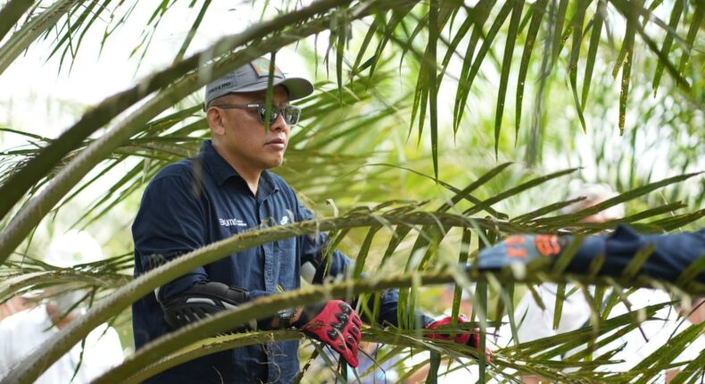 foto slider headline