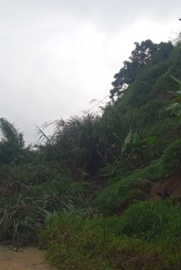 berita-rekomendasi-foto