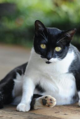 berita-rekomendasi-foto