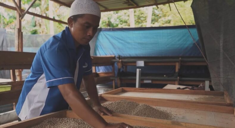 foto slider headline