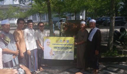 Wakil Bupati Lombok Tengah Muhamad Nursiah menyerahkan sapi qurban dari Sari Yuliati kepada takmir Masjid Agung Praya (Ahmad Sakurniawan/Koran Mandalika)