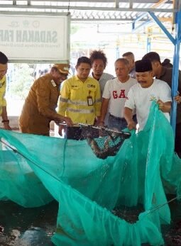 berita-rekomendasi-foto