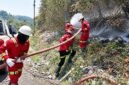 Aktifkan Emergency Management Team, NHM Perkuat Penanganan Karhutla