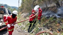 Aktifkan Emergency Management Team, NHM Perkuat Penanganan Karhutla