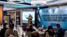 India-Indonesia Jajaki Peluang Investasi di Gujarat Menjelang Vibrant Gujarat Global Summit 2027