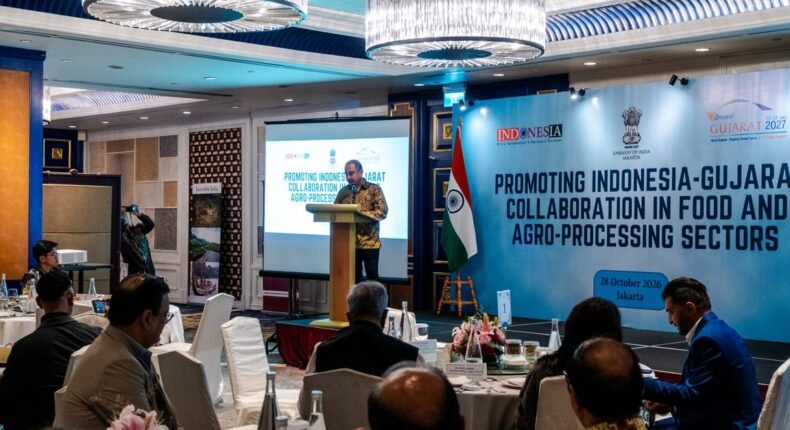 India-Indonesia Jajaki Peluang Investasi di Gujarat Menjelang Vibrant Gujarat Global Summit 2027
