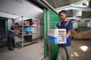 KAI Logistik Layani Lebih dari 138 Ribu Pengiriman Hewan Peliharaan hingga Triwulan III 2026, Tumbuh 19%