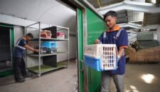 KAI Logistik Layani Lebih dari 138 Ribu Pengiriman Hewan Peliharaan hingga Triwulan III 2026, Tumbuh 19%